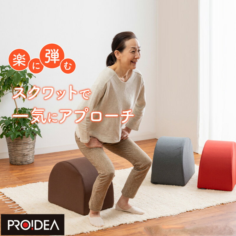 ワイドスクワットホッパー エクササイズ ストレッチ トレーニング お腹 お尻 背中 太もも スクワット ..