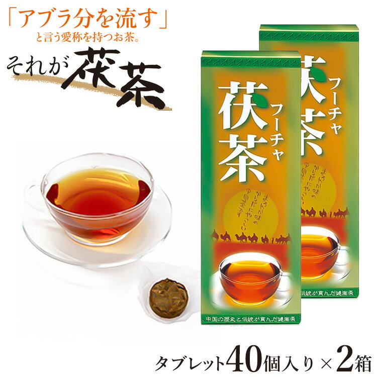 ＼お得なクーポン配布中！／ 高級茯茶 (フーチャ) 40個入り2セット 発酵 ミネラル ダイエット 食物繊維 カテキン 鉄分 アミノ酸 ビタミン ダイエット茶 お茶 ダイエットティー 痩せる ふーちゃ ふー茶 フー茶