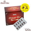 蜂の子サプリ パワービー (Power Bee Plus) 1箱(120カプセル） サプリ 健康食品 栄養補助食品 蜂の子