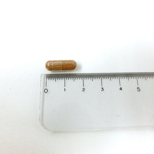 パワービー (Power Bee Plus) 120カプセル 3箱セット サプリ 健康食品 栄養補助食品 蜂の子 fuwalu-10010731 fuwalu -フワル- サンプル画像3