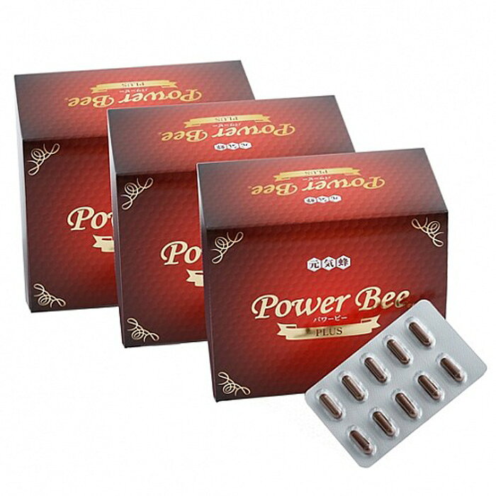 パワービー (Power Bee Plus) 120カプセル 3箱セット サプリ 健康食品 栄養補助食品 蜂の子 fuwalu-10010731 fuwalu -フワル- サンプル画像2