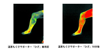 夏のおとクーポン配布中 おばあちゃんの知恵温恵サポーターシリーズ ひざ用2枚セット 【 サポーター 冷え性 絹シルク 】