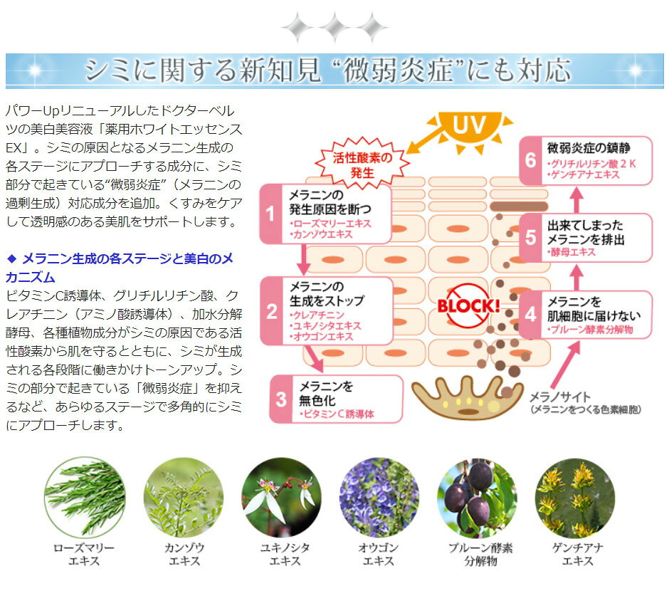 ＼お得なクーポン配布中！／ ドクターベルツ Dr.BAELTZ 薬用Wホワイトエッセンス 30ml 医薬部外品 美白 美容液 くすみ fuwalu-10013657 fuwalu -フワル- サンプル画像3