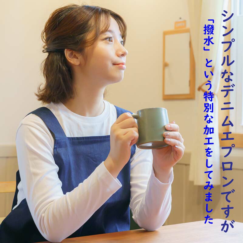 デニムエプロン H型 レディース エプロン 春 女性用フリーサイズ LL 大きいサイズ 普通丈 と 小柄な方にも嬉しい ショート丈 女性用 デニム エプロン 撥水 飲食店 制服 メール便も可