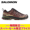 サロモン XA PRO 3D V9 GTX L47583500 メンズ シューズ