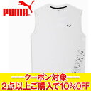 クリアランスセール 【返品不可】メール便送料無料 プーマ TAD SL Tシャツ 527050-02 メンズ