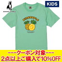 クリアランスセール 【返品不可】 メール便送料無料 サッカージャンキー クラウディオ・パンディアーニ Tシャツ 半袖 パイン犬+3 キッズ ジュニア CP23A...