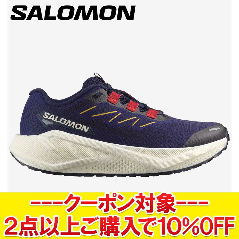  クリアランス 【返品不可】サロモン AERO BLAZE 3 GRVL W L47915900 レディース シューズ
