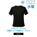 【いちばの日限定店内ポイント最大20倍(7/18 00:00~23:59迄)】 お買い得スペシャルプライス 【返品不可】 メール便送料無料 フリーズテック パフォーマンス レギュラーフィット 冷感シャツ 半袖クルーネック