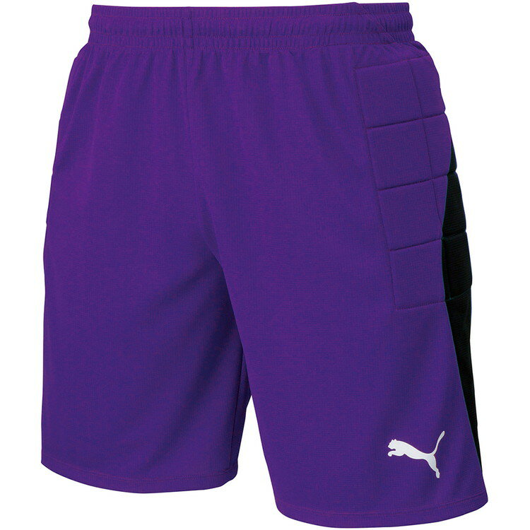 【スーパーセール期間限定店内ポイント最大20倍(12/11 1:59迄)】 お買い得スペシャルプライス メール便送料無料 プーマ LIGA GK パンツ パッド...