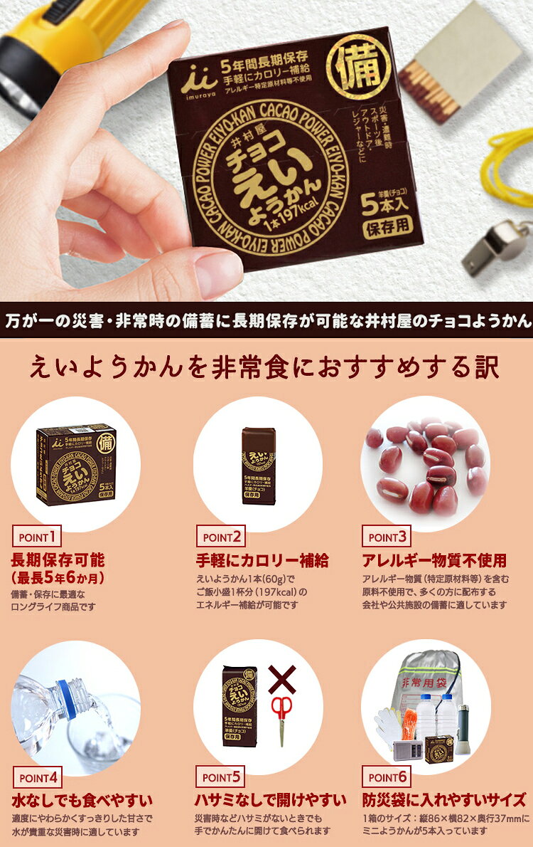 【エントリーで全品ポイント10倍(9/11 1:59迄)】 井村屋 チョコ えいようかん 5箱セット 長期保存可能 非常用商品として最適 非常食におすすめ 【地域限定送料無料】 【賞味期限2031年5月】 fzone-10481637 FZONEスポーツ サンプル画像2