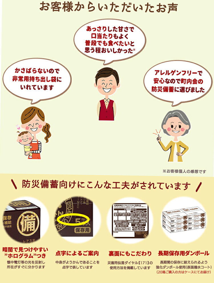 【エントリーで全品ポイント10倍(9/11 1:59迄)】 井村屋 チョコ えいようかん 5箱セット 長期保存可能 非常用商品として最適 非常食におすすめ 【地域限定送料無料】 【賞味期限2031年5月】 fzone-10481637 FZONEスポーツ サンプル画像3