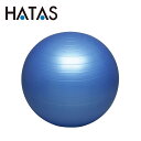 【GW期間限定店内ポイント最大20倍 5/7 9:59迄】 ハタ HATAS バランスボールセイフティー 55cm DB55