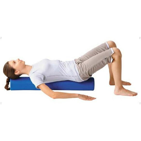 【0のつく日限定店内ポイント最大20倍(1/30 00:00〜23:59迄)】 ハタ HATAS フォームローラーPro FEL2000