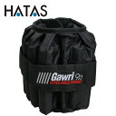お買い得スペシャルプライス ハタ HATAS Gawri ハイパーアンクルウエイト9kg(2個組) GWS9000