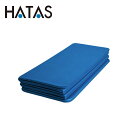 お買い得スペシャルプライス ハタ HATAS ウエルネス キャリーフィットネスマット 6枚折 MAT03