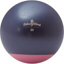【お買い物マラソン限定店内ポイント最大20倍(5/9 20:00〜)】 ハタチ HATACHI リクレーション ジムボールStayPlus 55cm NH362...