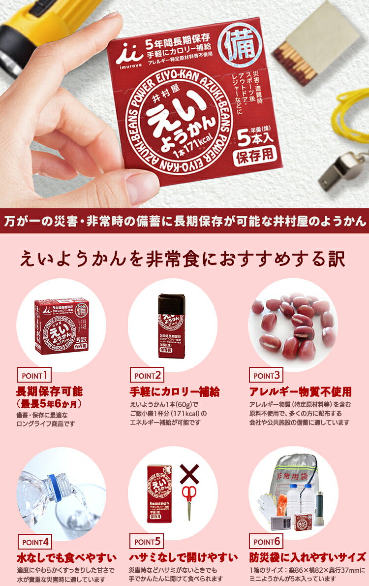 【エントリーで全品ポイント10倍(9/11 1:59迄)】 井村屋 えいようかん 10箱セット まとめ買い 長期保存可能 非常用商品として最適 非常食におすすめ【賞味期限2031年1月】 fzone-10482994 FZONEスポーツ サンプル画像2
