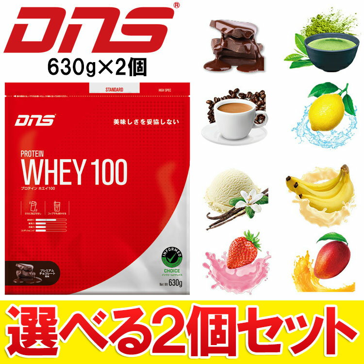 DNSプロテインホエイ1001260g