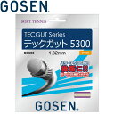 【お買い物マラソン期間限定店内ポイント最大20倍(4/24 20:00～4/27 9:59迄)】 メール便送料無料 ゴーセン 軟式テニスストリングス ガット TECGUT テックガット5300 SS603-RE