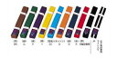 【0のつく日&ワンダフルデー48時間限定店内ポイント最大20倍(4/30 00:00〜5/1 23:59迄)】 九桜 JC特製色帯 【黄帯】 HYS-JC1Y