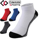 y0̂_tf[48ԌX|Cgő20{(4/30 00:00`5/1 23:59)z 10%OFFN[|Ώ [֑ Rgbe X|[c Colantotte Sports PRO-AID SOCKS FOR RUN AMMMA \bNX C Y jZbNX f SՌɘa