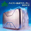 【期間限定ポイント最大20倍(2025/5/27 11:59迄)】 LOGOS ロゴス ハイパー氷点下クーラーM 脅威の保冷力 81670070