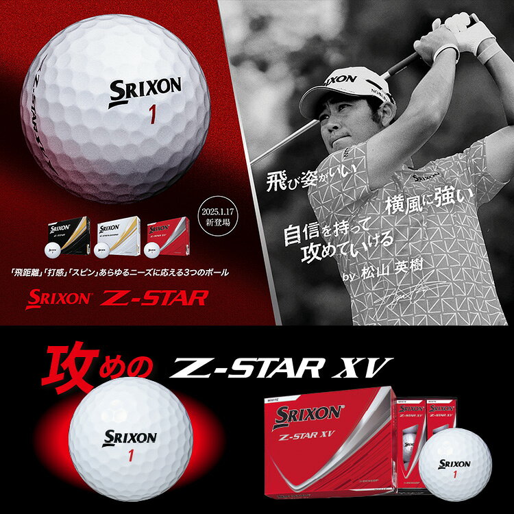 【お買い物マラソン限定店内ポイント最大20倍(2026/7/11 1:59迄)】スリクソン Z-ST...