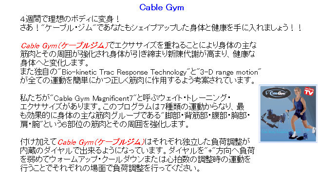 【あす楽対応】 【4週間で理想のボディへ】 ケ...の紹介画像2
