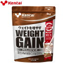 ケンタイ Kentai ウェイトゲインアドバンス 3kg ミルクチョコ風味 K3320