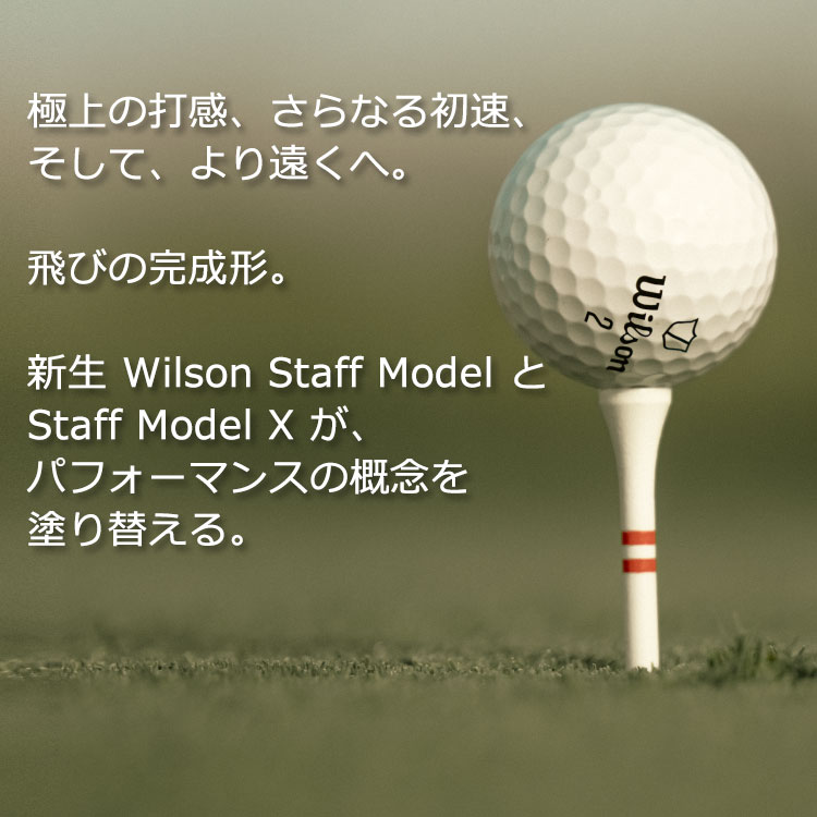 【お買い物マラソン限定店内ポイント最大20倍(2026/7/11 1:59迄)】ウィルソン スタ...