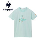 お買い得スペシャルプライス メール便送料無料 ルコックスポルティフ le coq sportif ヘランカサンスクリーン 半袖Tシャツ レディース QMWXJA01-GR