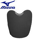 【ワンダフルデー限定店内ポイント最大20倍(4/1 00:00～)】 ミズノ MIZUNO 野球 審判用プロテクター 1DJPU13009