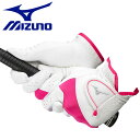 [֑ ~Ym MIZUNO St O[u//GtB/p fB[X 5MJWB25464