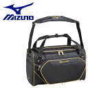 ミズノ MIZUNO 野球 セカンドバッグ(46L) 1FJD300109