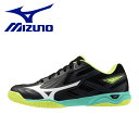【ブラックフライデー限定店内ポイント最大20倍(11/27 1:59迄】 ミズノ ウエーブカイザーブルク8 卓球 メンズ レディース シューズ 81GA2420...