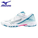 ミズノ MIZUNO バドミントン ウエーブクロー 3 FIT シューズ 71GA244221