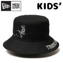 ニューエラ Kids バケット01 Dinosaur Tyrannosaurus 恐竜 ティラノサウルス ハット キッズ ジュニア 14325270