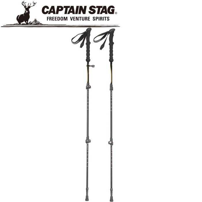 �ڤ��㤤ʪ�ޥ饽�����Ź��ݥ���Ⱥ���20��(2026/1/16 1:59��)�� ����ץƥ󥹥��å� FEEL BOSCO �ȥ�å��󥰥��ƥå� �� 3�� 2��...