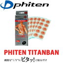 【0のつく日限定店内ポイント最大20倍(5/30 00:00〜)】 メール便送料無料 ファイテン チタンバン
