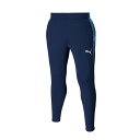 お買い得スペシャルプライス プーマ teamCUP TR パンツ 660106-06 メンズ
