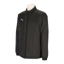 お買い得スペシャルプライス プーマ teamCUP パテッド ウーブン JKT 660402-03 メンズ