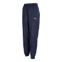 お買い得スペシャルプライス プーマ teamCUP ウラトリコット ピステパンツ 660406-06 メンズ