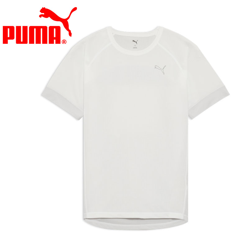 PUMA - お買い得スペシャルプライス メール便送料無料 プーマ M ULTIMATE Tシャツ Tone 694573-02 メンズ
