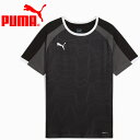 【お買い物マラソン限定店内ポイント最大20倍(5/16 1:59迄)】お買い得スペシャルプライス メール便送料無料 プーマ individualLIGA グラフ...