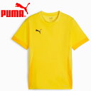 【お買い物マラソン限定店内ポイント最大20倍(5/16 1:59迄)】お買い得スペシャルプライス メール便送料無料 プーマ teamGOAL ゲームシャツ Jr...