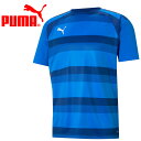 【スーパーセール期間限定店内ポイント最大20倍(12/11 1:59迄)】 お買い得スペシャルプライス メール便送料無料 プーマ TEAMVISION フープ ...