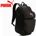 お買い得スペシャルプライス プーマ TEAMFINAL バックパック 35L 090733-01