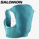 サロモン（SALOMON）（メンズ、レディース）ベルト 3Dボトル付 ACTIVE BOTTLE LC2179200