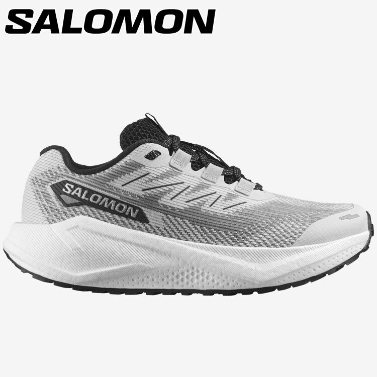  【期間限定ポイント最大20倍(2025/11/21 11:59迄)】 サロモン AERO BLAZE 3 GRVL W L47916000 レディース シューズ